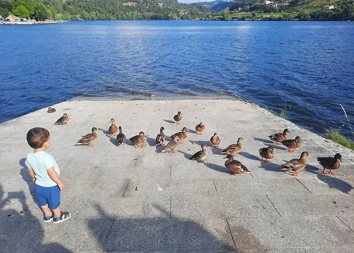 Daire Burguesinha Al Entre-os-Rios